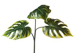 FOGLIA PHILO 109CM. VERDE
