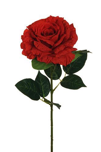 ROSA REGINA C/7FOGLIE 78CM. ROSSO