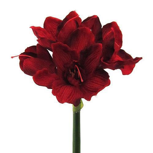 AMARYLLIS 66CM. ROSSO