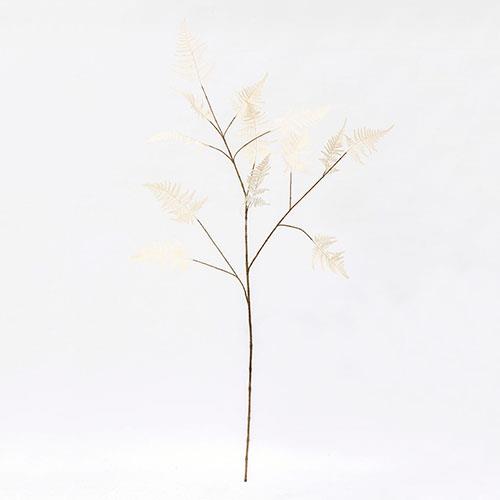 ASPARAGUS SPRAY 137CM. CREMA