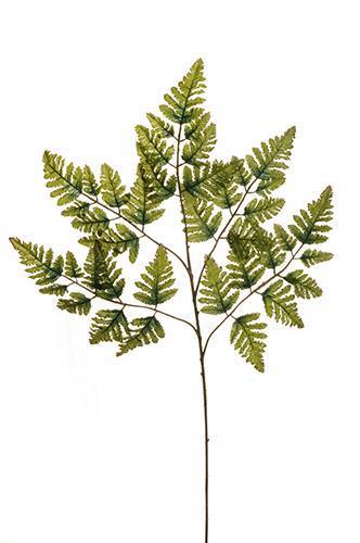 BOSTON FERN SPRAY 40LVS 70CM. 3PEZZI