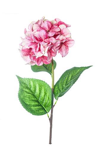 HYDRANGEA LUSSO 87CM. BEAUTY-ROSA