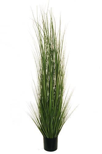 PIANTA GRASS C/VASO H180CM. VERDE