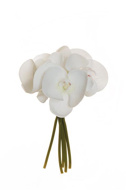 PHALAENOP.REAL TOUCH 5STELI 25CM. BIANCO