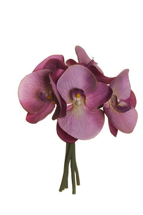 PHALAENOP.REAL TOUCH 5STELI 25CM. MAUVE