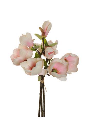MAGNOLIA MAZZ. 3STELI 43CM. ROSA CH.
