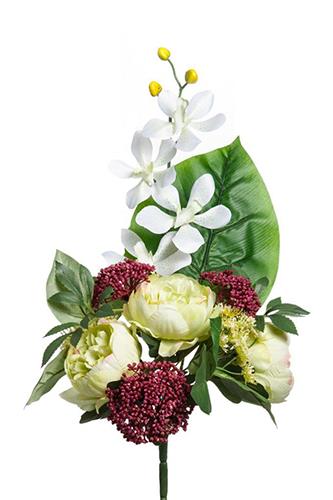 FRONTALE PEONIA /VANDA COL.VERDINO