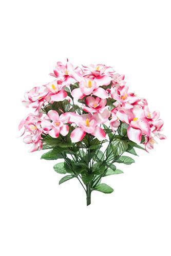 BUSH ORCHIDEE X24 47CM. ROSA