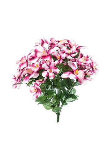 BUSH ORCHIDEE X24 47CM. FUCSIA