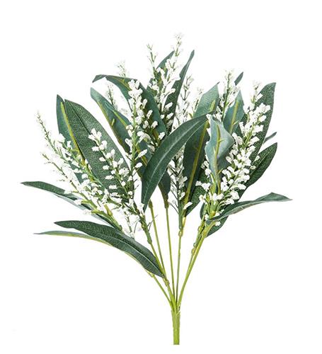 BUSH ASTILBE X7 40CM. 2PEZZI BIANCO