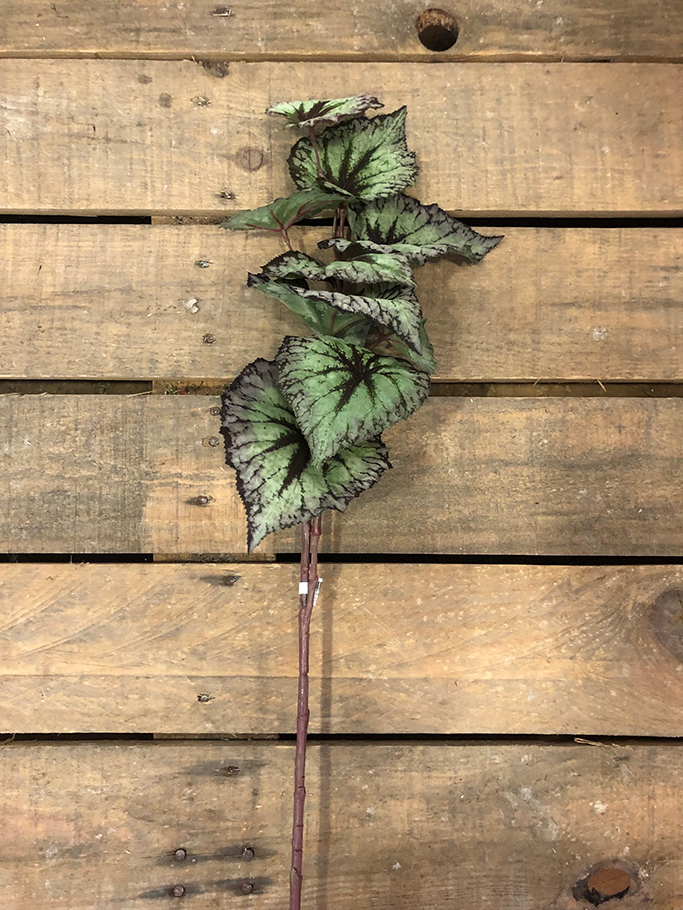 RAMO FOGLIA BEGONIA 65CM. BROWN