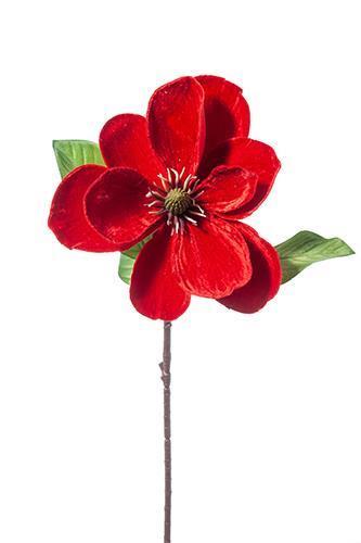 MAGNOLIA DELUXE VELVET 62CM. ROSSO