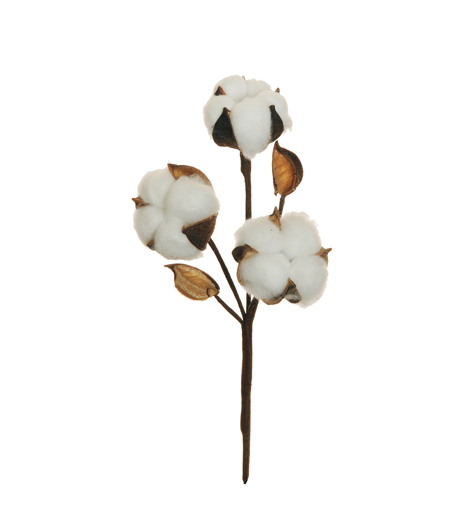 FIORE DEL COTONE SPRAY 29CM. 3PZ.
