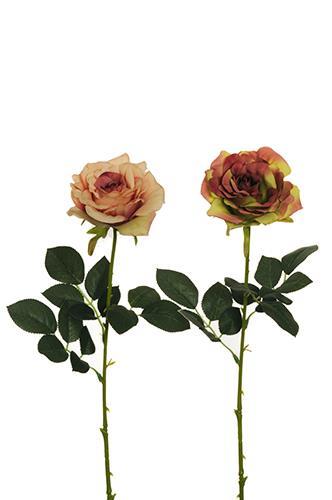 GRETA ROSE 64CM. 2PEZZI PNK/GR/BUR