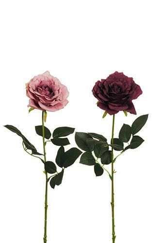 GRETA ROSE 64CM. 2PEZZI MAUV/VIOL