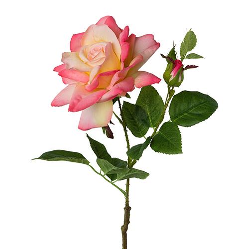 ROSA APERTA C/BOCCIOLO 53CM. ROSA