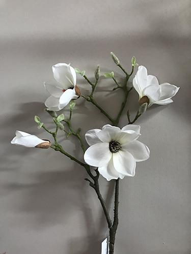 MAGNOLIA JAPANICA SPRAY WHITE