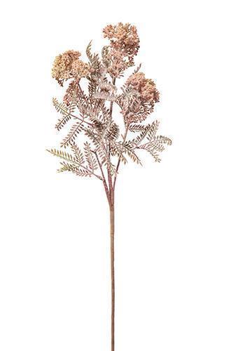 ALLIUM FLOCCATO 69CM. ROSA CH.