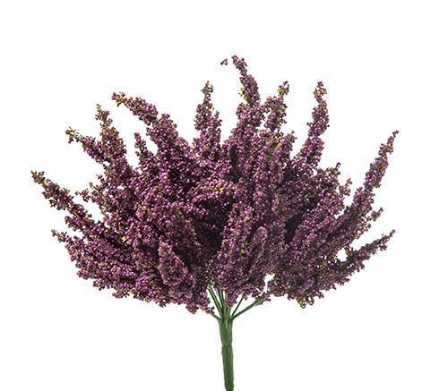 ERICA BUSH X14 86CM. PURPLE