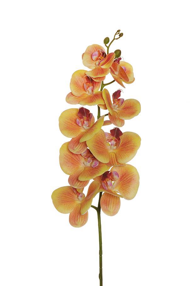 PHALAENOPSIS 3D 9FIORI 105CM. LT ORANGE