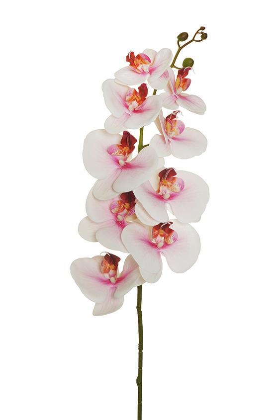 PHALAENOPSIS 3D 9FIORI 105CM. CRM PINK