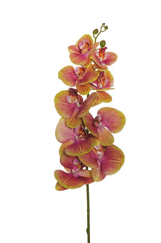 PHALAENOPSIS 3D 9FIORI 105CM. PURPLE GREEN
