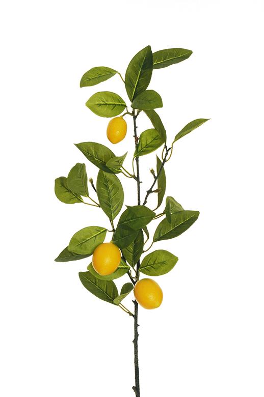 LIMONE SPRAY X3 76CM. GIALLO