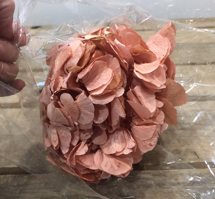 HYDRANGEA STAB. 30CM. ROSA PASTEL.