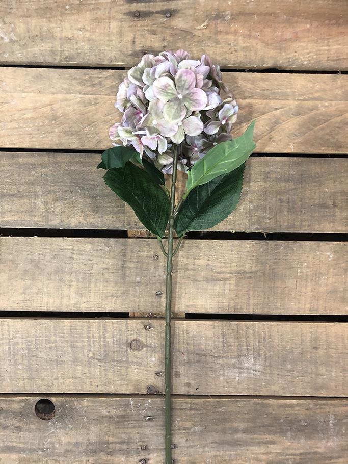 HYDRANGEA SPRAY C/4FGL 80CM. LT GREEN