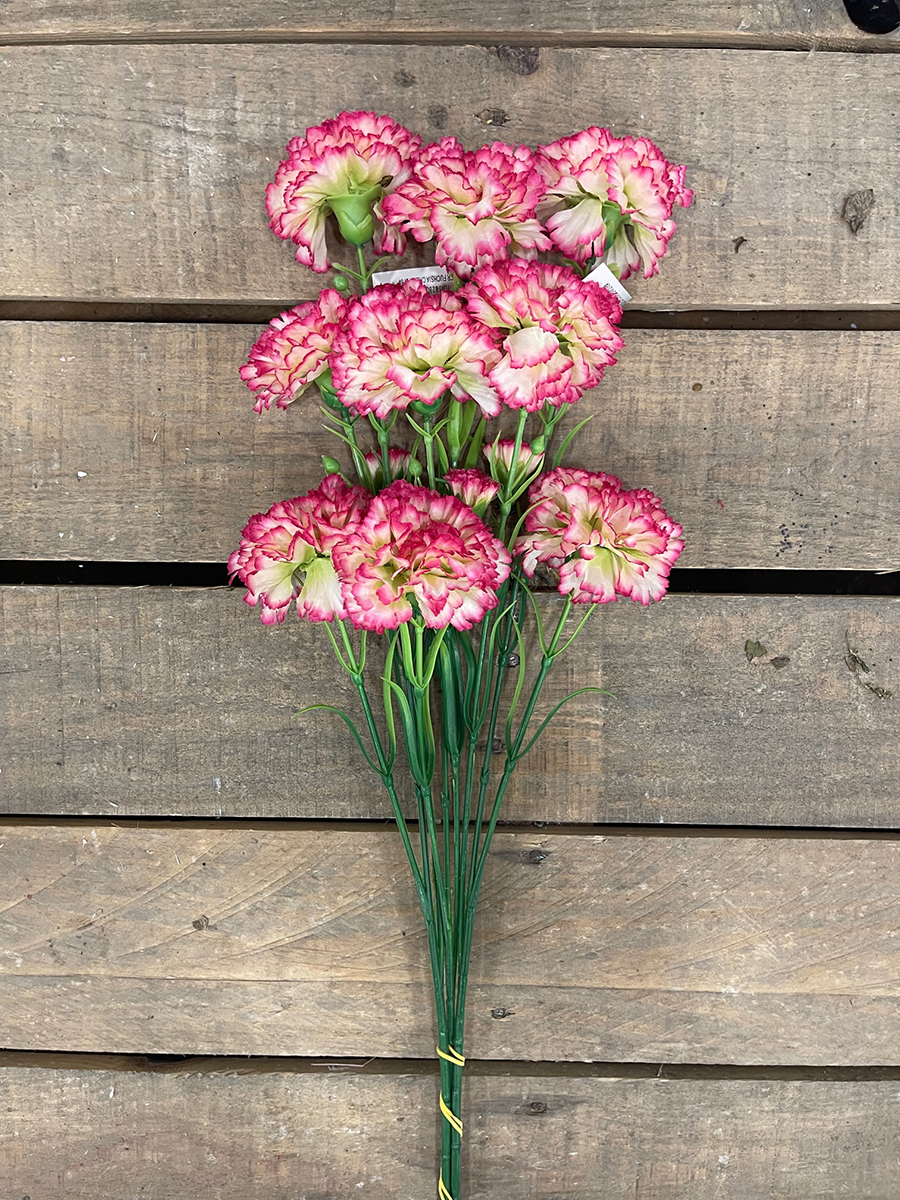 GAROFANO SPRAY X3 70CM. 3PZ. FUXIA