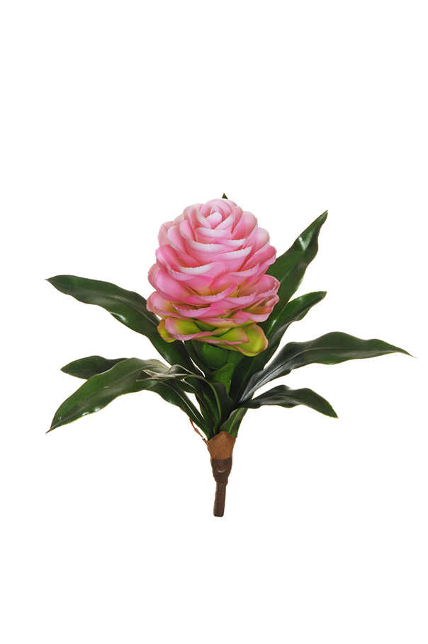 GINGER MINI PLANT R/TOUCH 34CM. PINK