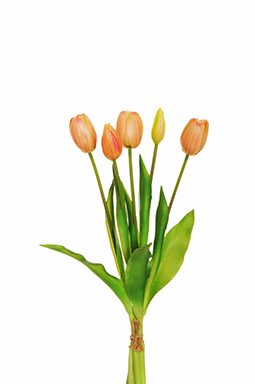 TULIP RUBBER BUNDLE X5 39CM. SALMON