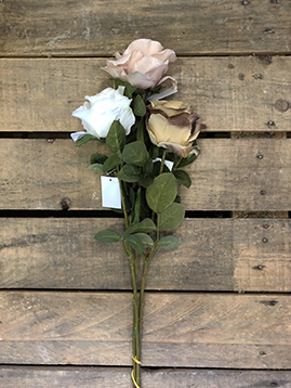 AUTUMN ROSE SAND 74CM. 3PZ.ASS.