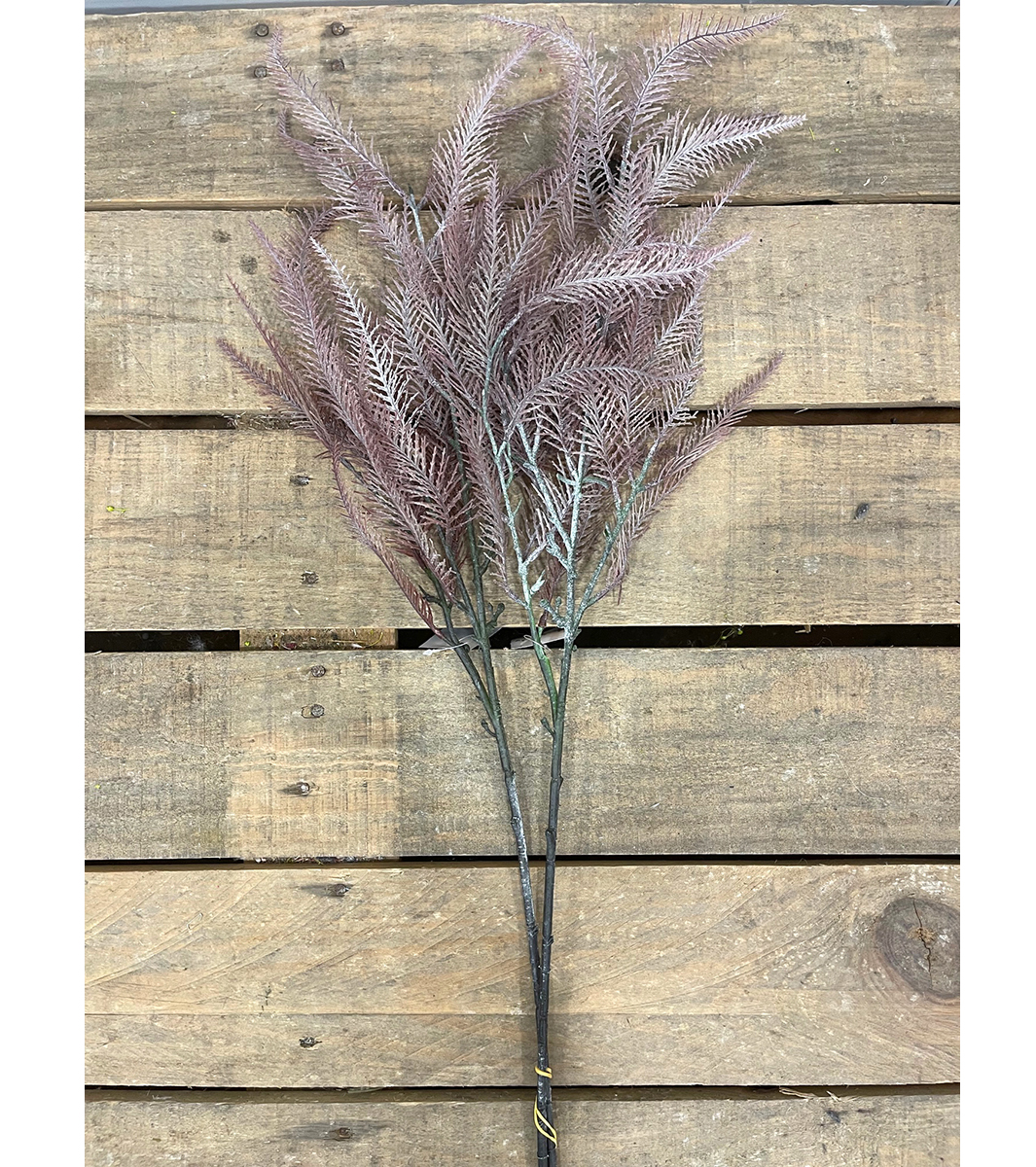 FERN SPRAY X2 90CM. 2PZ. BROWN