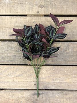 TRADESCANTHIA BUSH X7 45CM. BURGUNDY