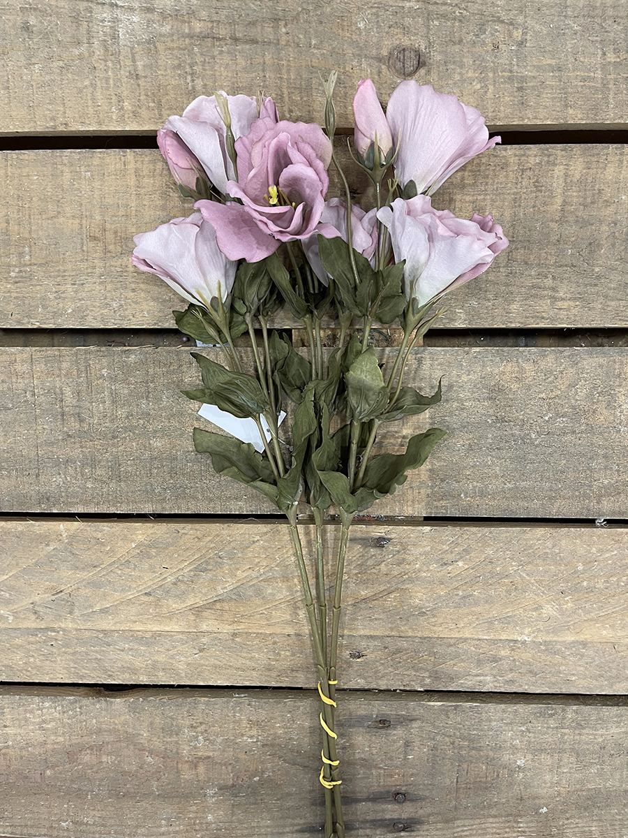 LISIANTHUS ROYAL VELV. X3 54CM. 3PZ. A.ROSE