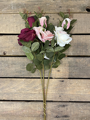 OPEN ROSE AUTUMN X3 77CM. 3PZ. PINK COMB.