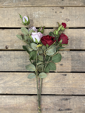 GARDEN ROSE ROY.VELV. X2FLWRS 65CM.2PZ.ASS.