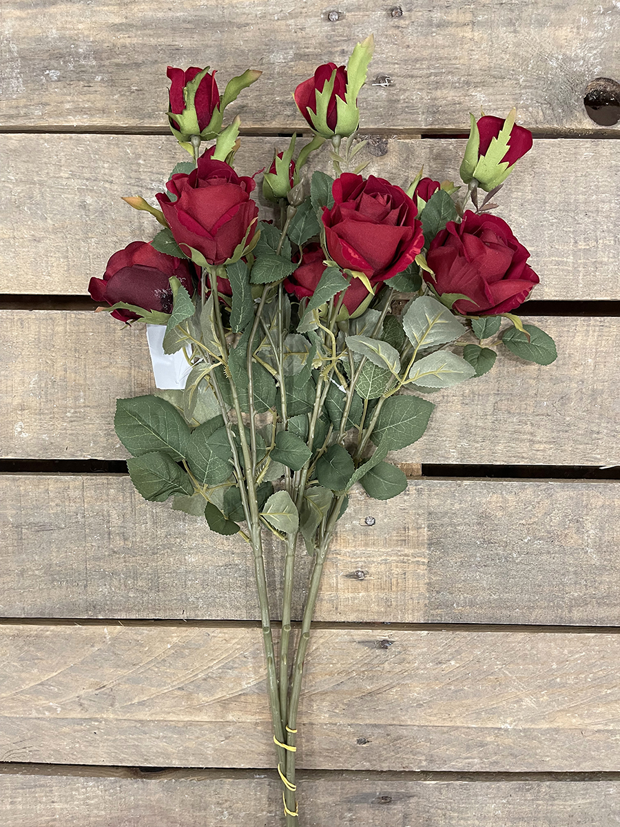 GARDEN ROSE ROY.VELV. X2FLWRS 65CM.3PZ. RED