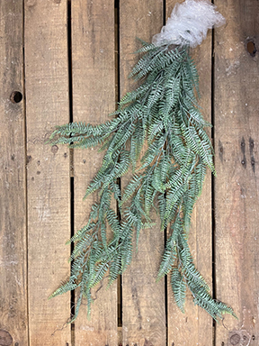 GIUNGLE MINI FERN VINE BUSH 100CM. FROSTED