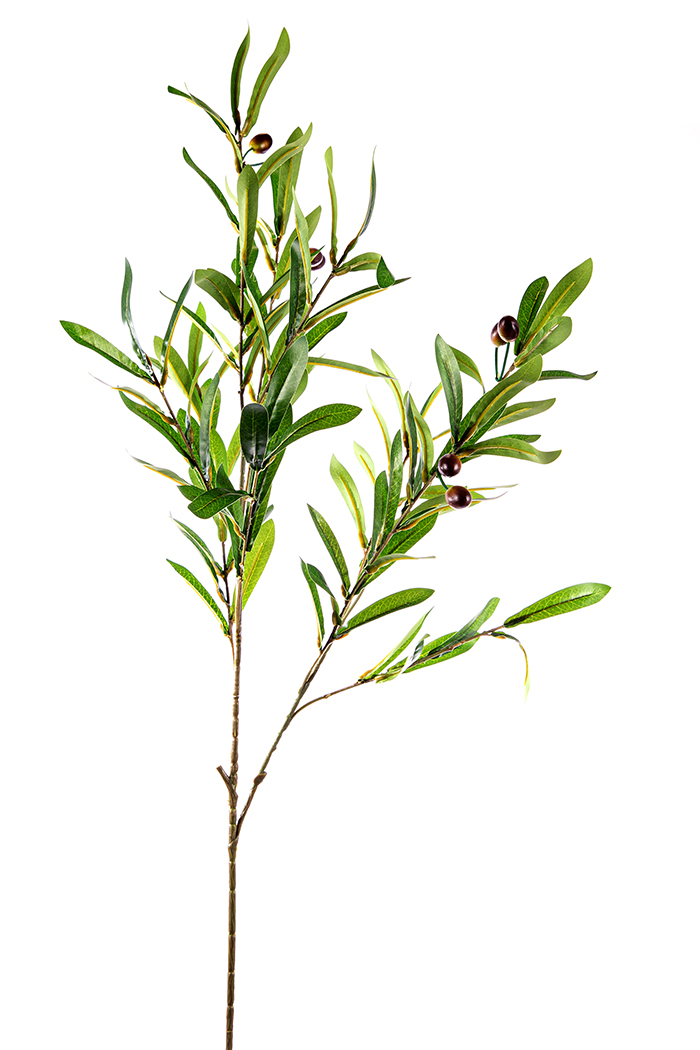 RAMO ULIVO 100CM.