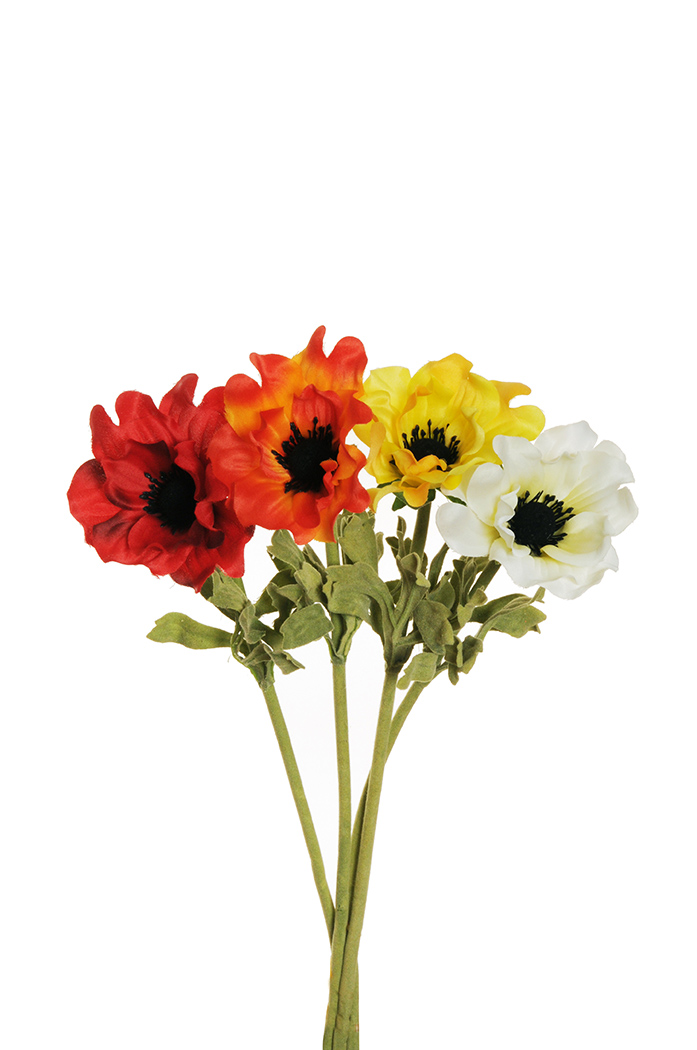 ANEMONE FLOCKED 36CM. 4PZ.COL.ASS.