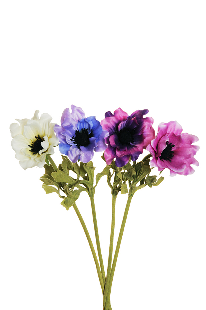 ANEMONE FLOCKED 36CM. 4PZ.COL.ASS.