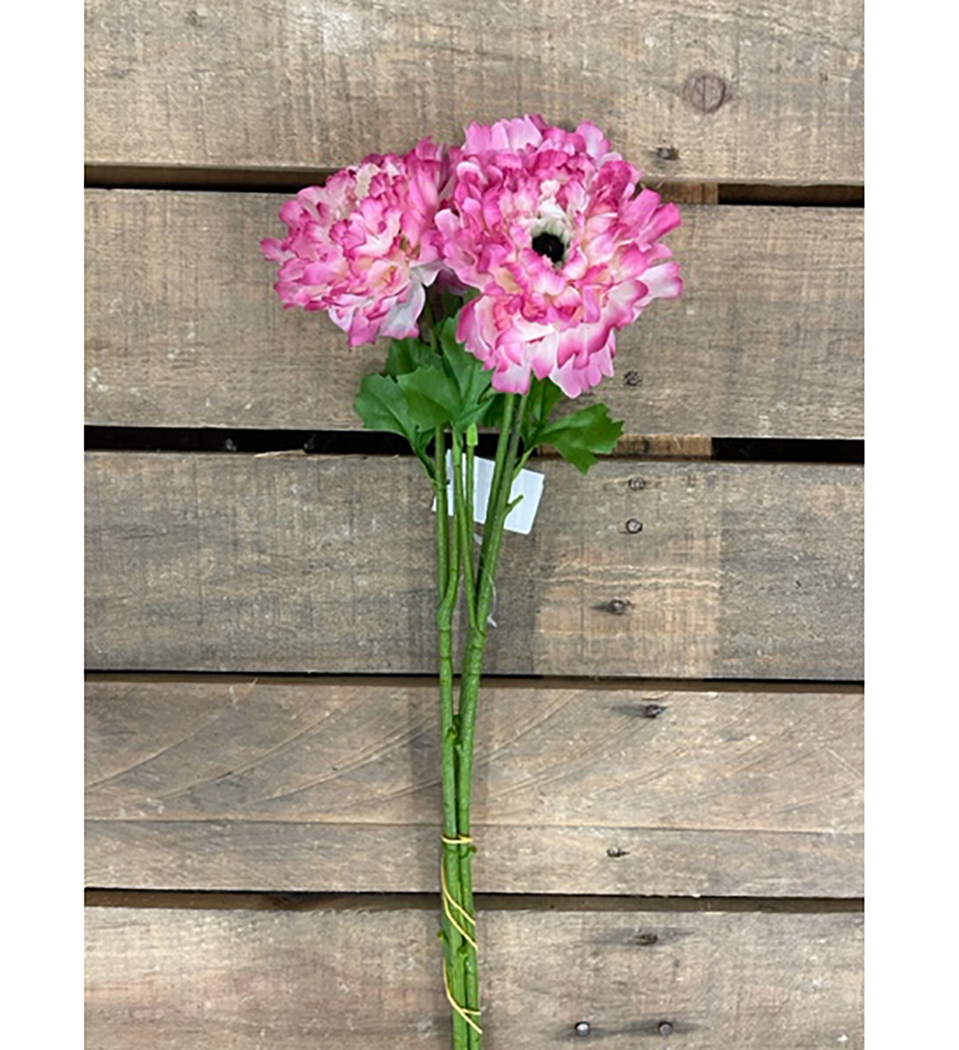 RANUNCULUS SPRAY  3PZ PINK