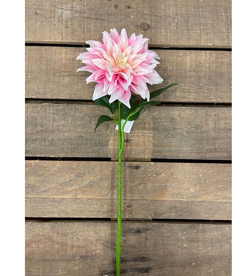 DAHLIA SPRAY X1 PINK