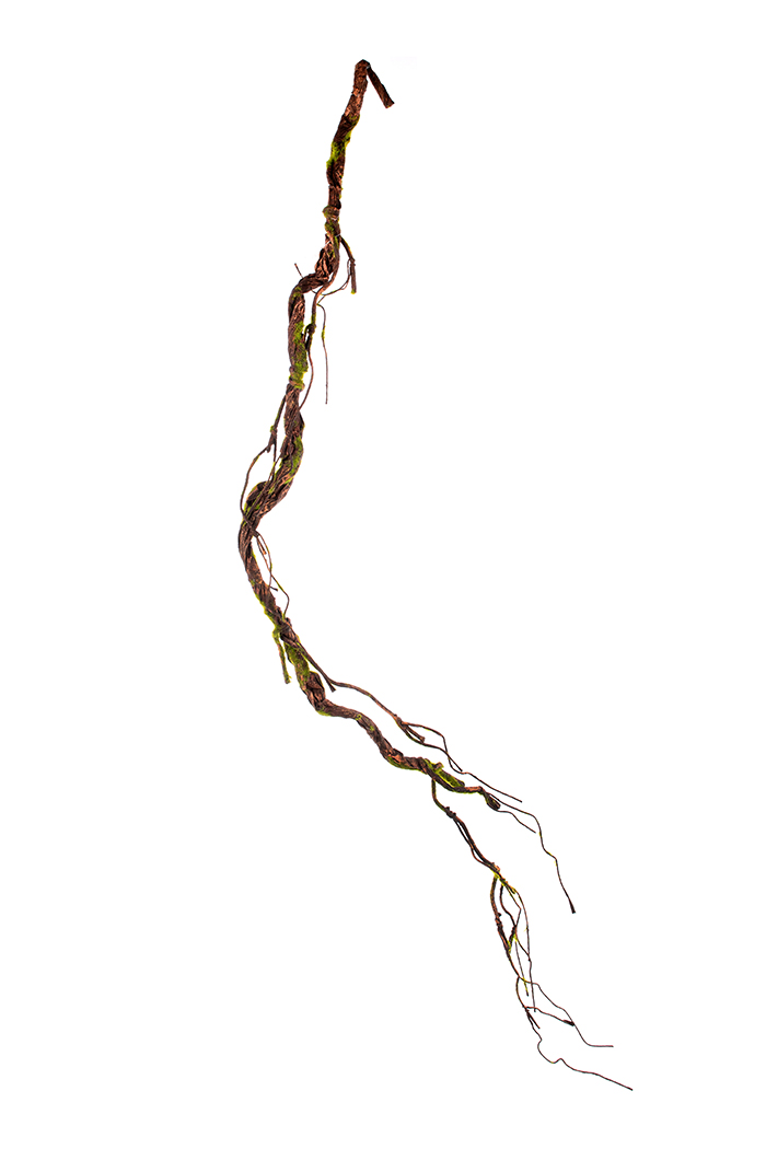 RADICE 150CM. NATURALE