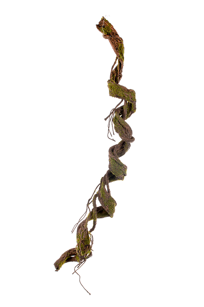 RADICE 130CM. NATURALE