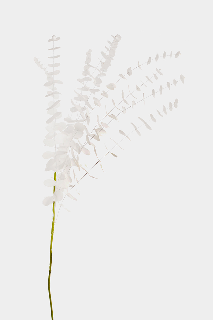 EUCALIPTUS POLY 100CM. BIANCO