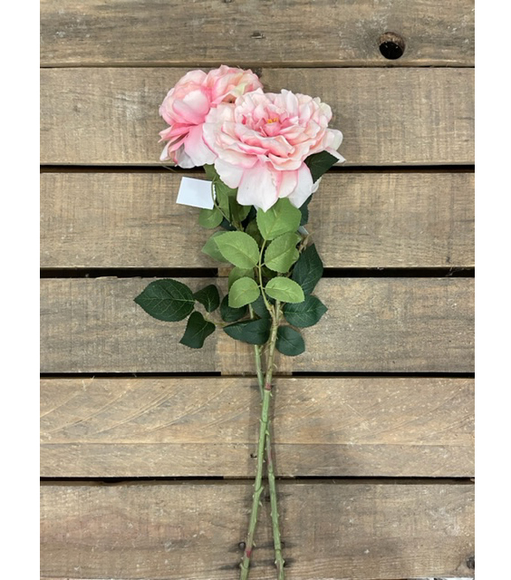 ROSA SINGOLA APERTA 77CM. 2PZ. DK PINK