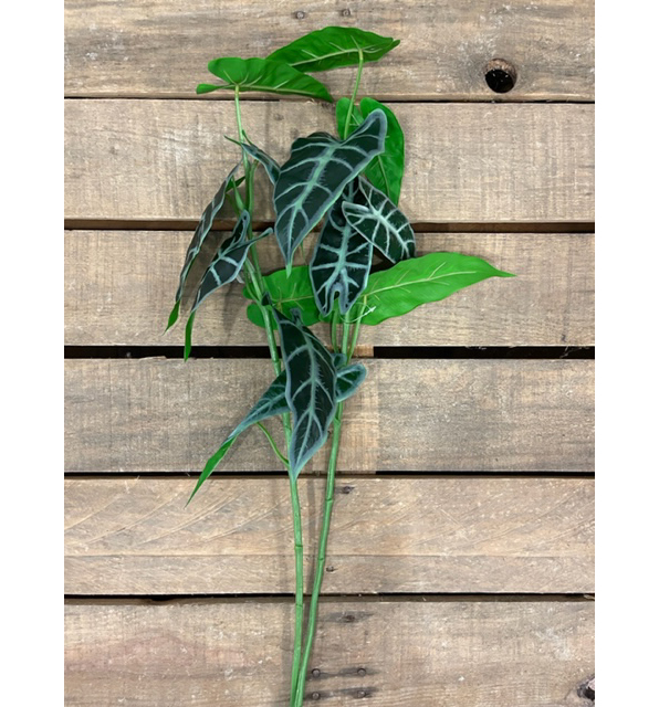 SYNGONIUM BRANCH 74CM. 2PZ.  VERDE